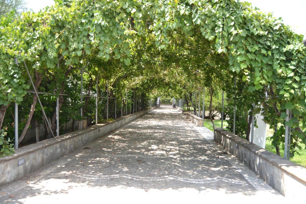 Вілла I Giardini Del Vesuvio Сомма-Везув'яна Екстер'єр фото